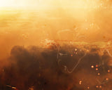 Among The Clouds (Star Wars)