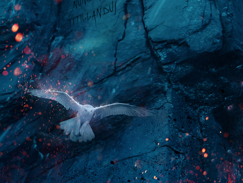 Draco Dormiens Nunquam Titillandus (Harry Potter)