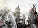 Draco Dormiens (Harry Potter) - Unique Canvas Limited Edition #1/10