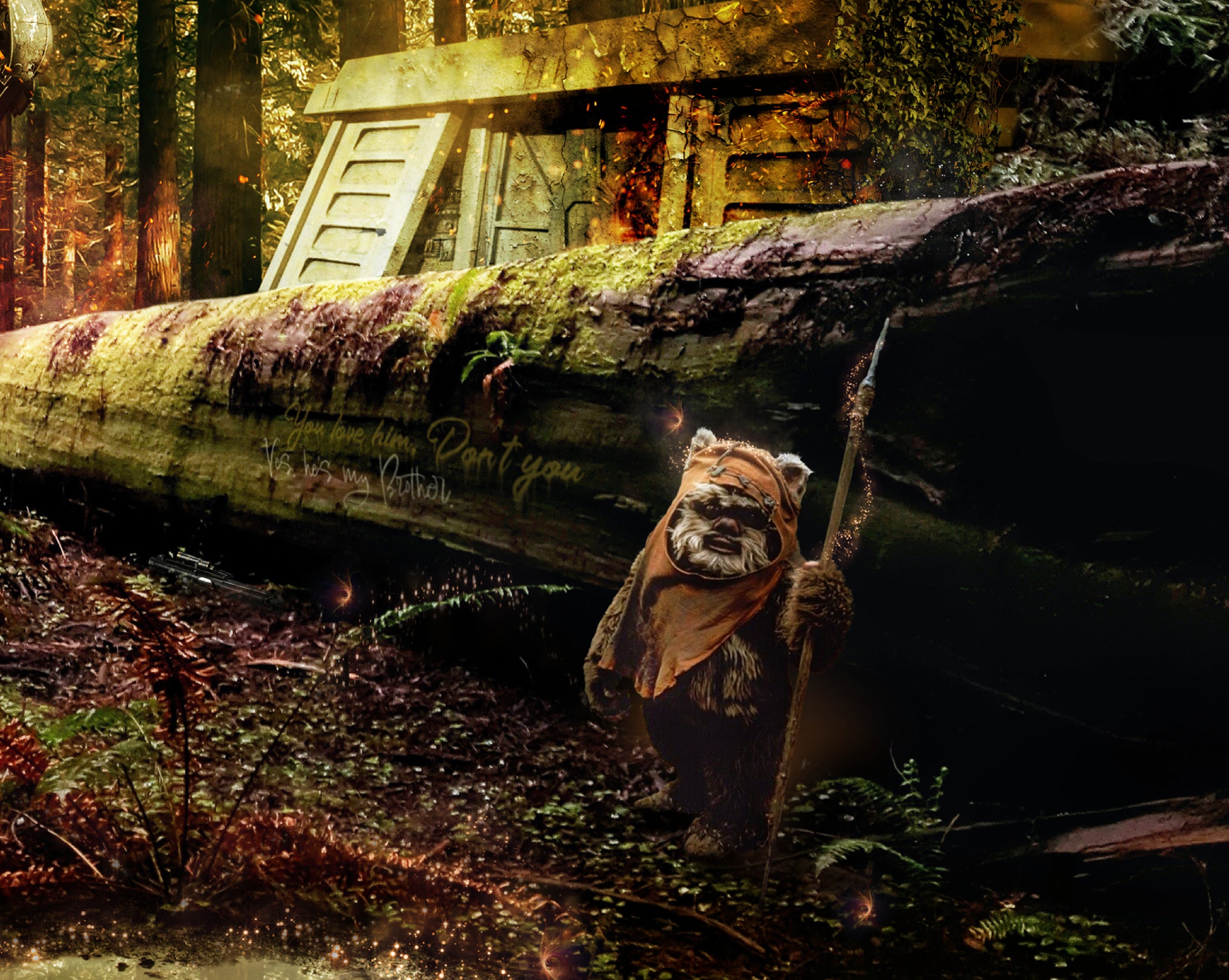 The Battle For Endor (Star Wars)