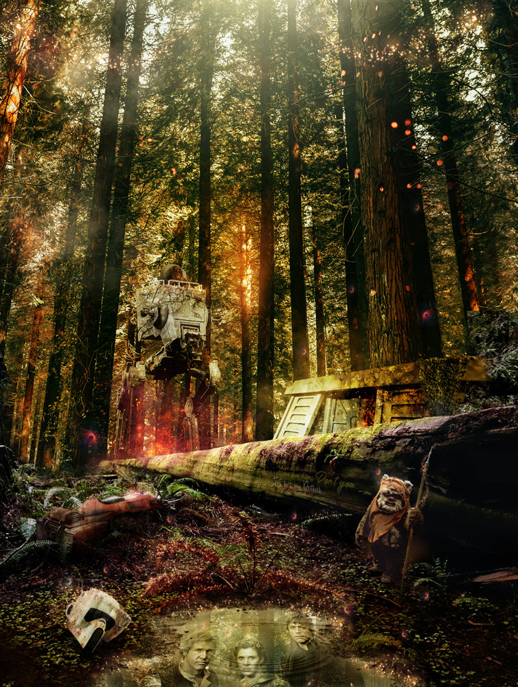 The Battle For Endor (Star Wars)