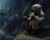 You Must Feel The Force (Star Wars)