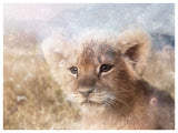 Find Your Way (The Lion King)