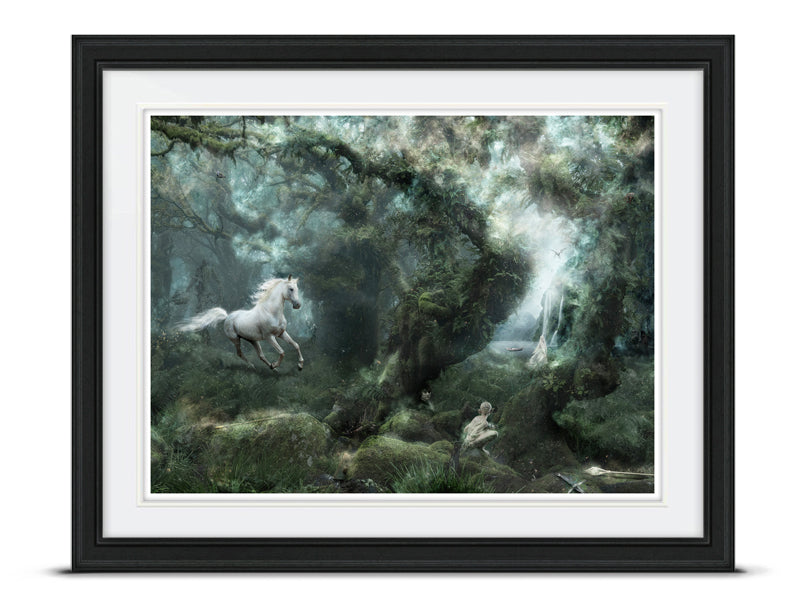Not All Who Wander Are Lost (Lord of the Rings)