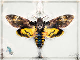 Old Skin (Silence Of The Lambs) - Unique Custom Canvas Limited Edition 1AP