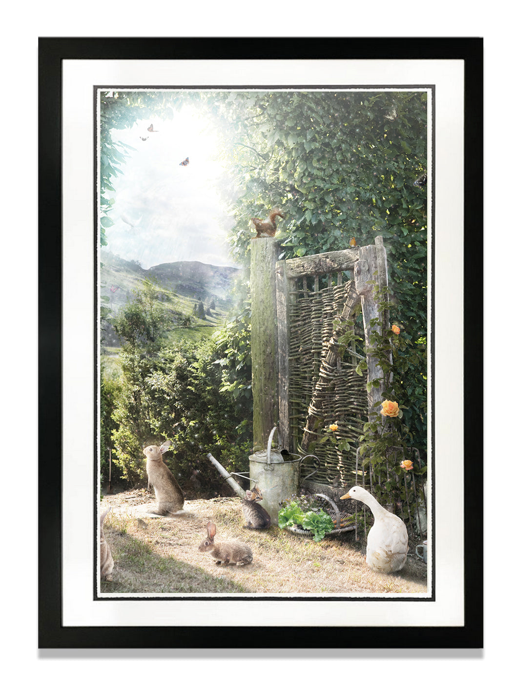 A Picture of Hope (Peter Rabbit)