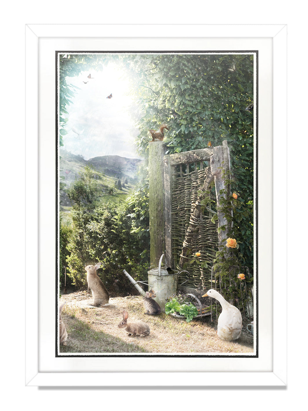 A Picture of Hope (Peter Rabbit)