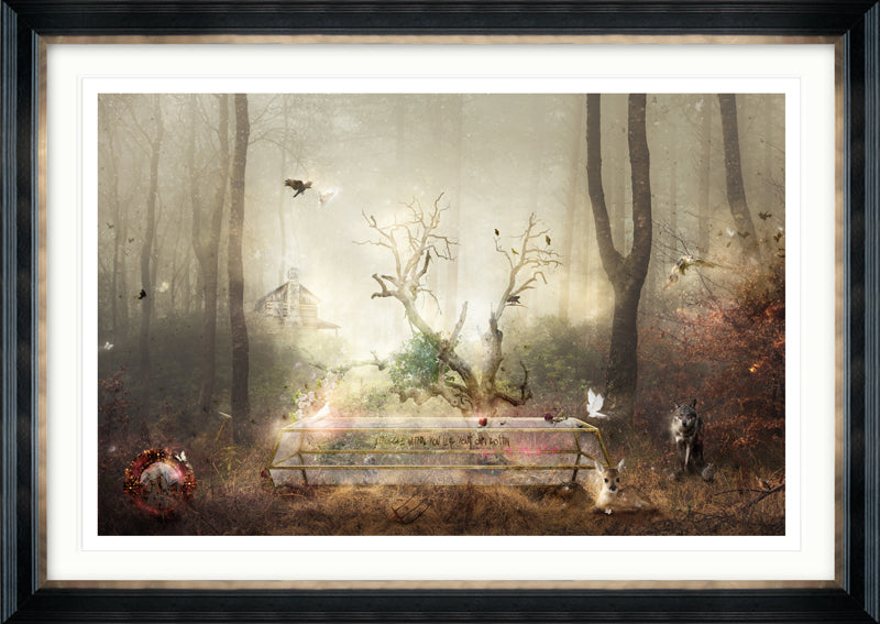 Mirror Mirror (Snow White)