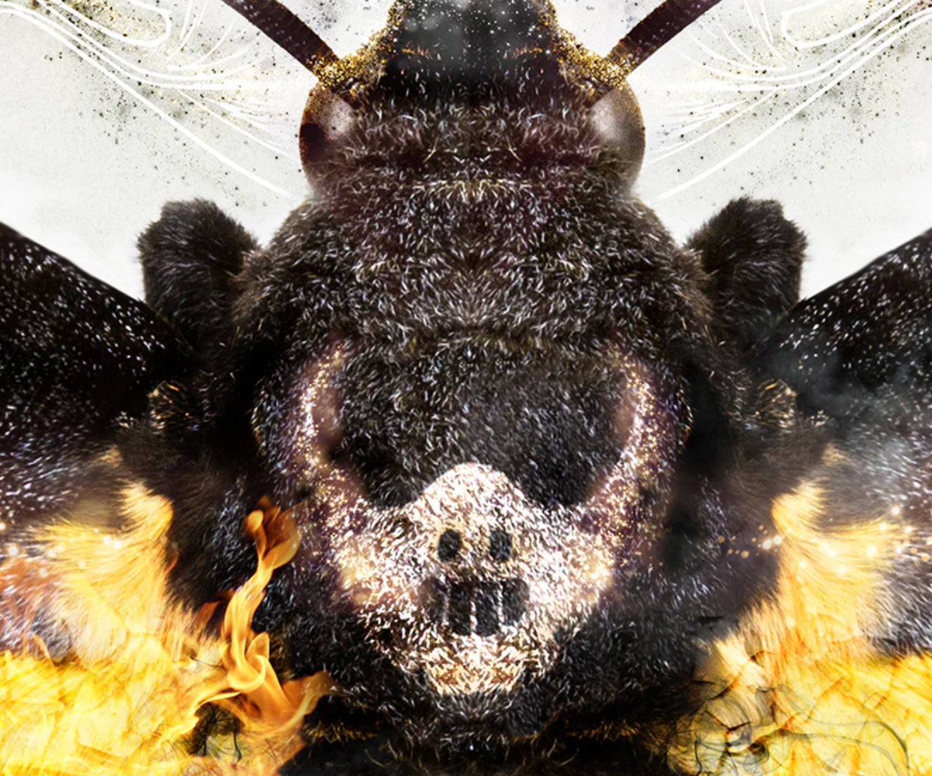 Old Skin (Silence Of The Lambs)