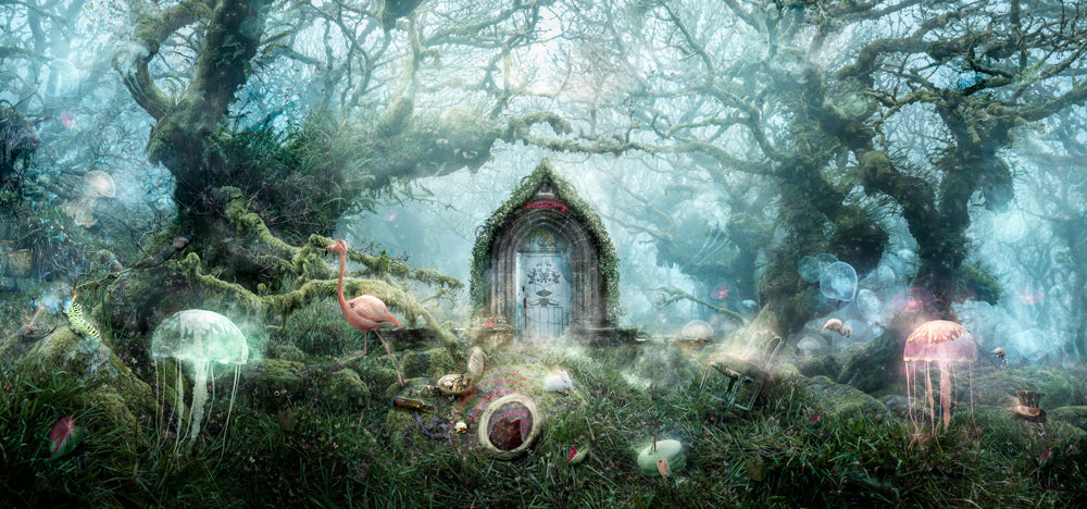 The Open Door (Alice In Wonderland)
