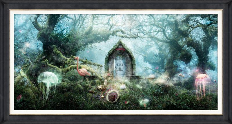 The Open Door (Alice In Wonderland)