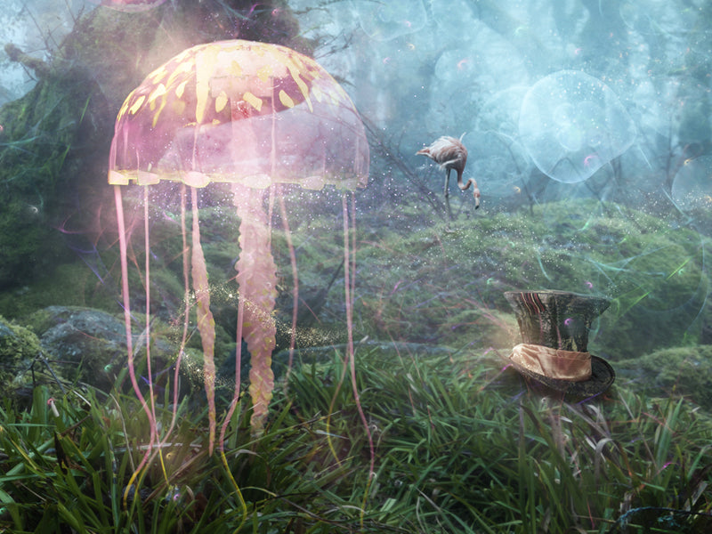The Open Door (Alice In Wonderland)