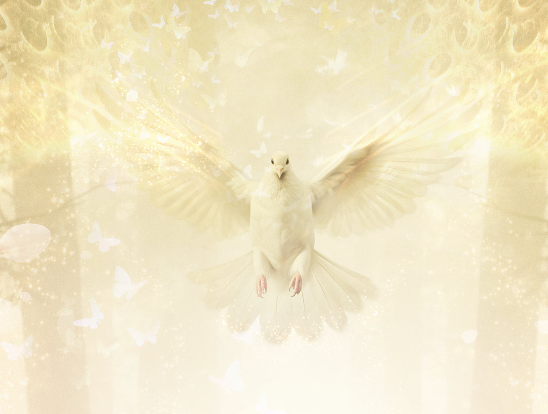 Where Memories Take Flight (A Tribute to Her Late Majesty the Queen)