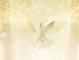 Where Memories Take Flight (A Tribute to Her Late Majesty the Queen)